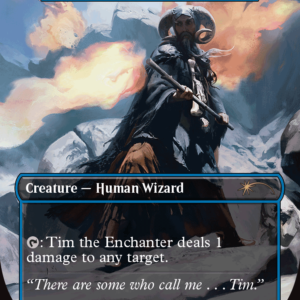 Tim the Enchanter - Prodigal Sorcerer (SLD-1672) - Secret Lair Drop / Tim the Enchanter (Borderless) Foil - Image 1